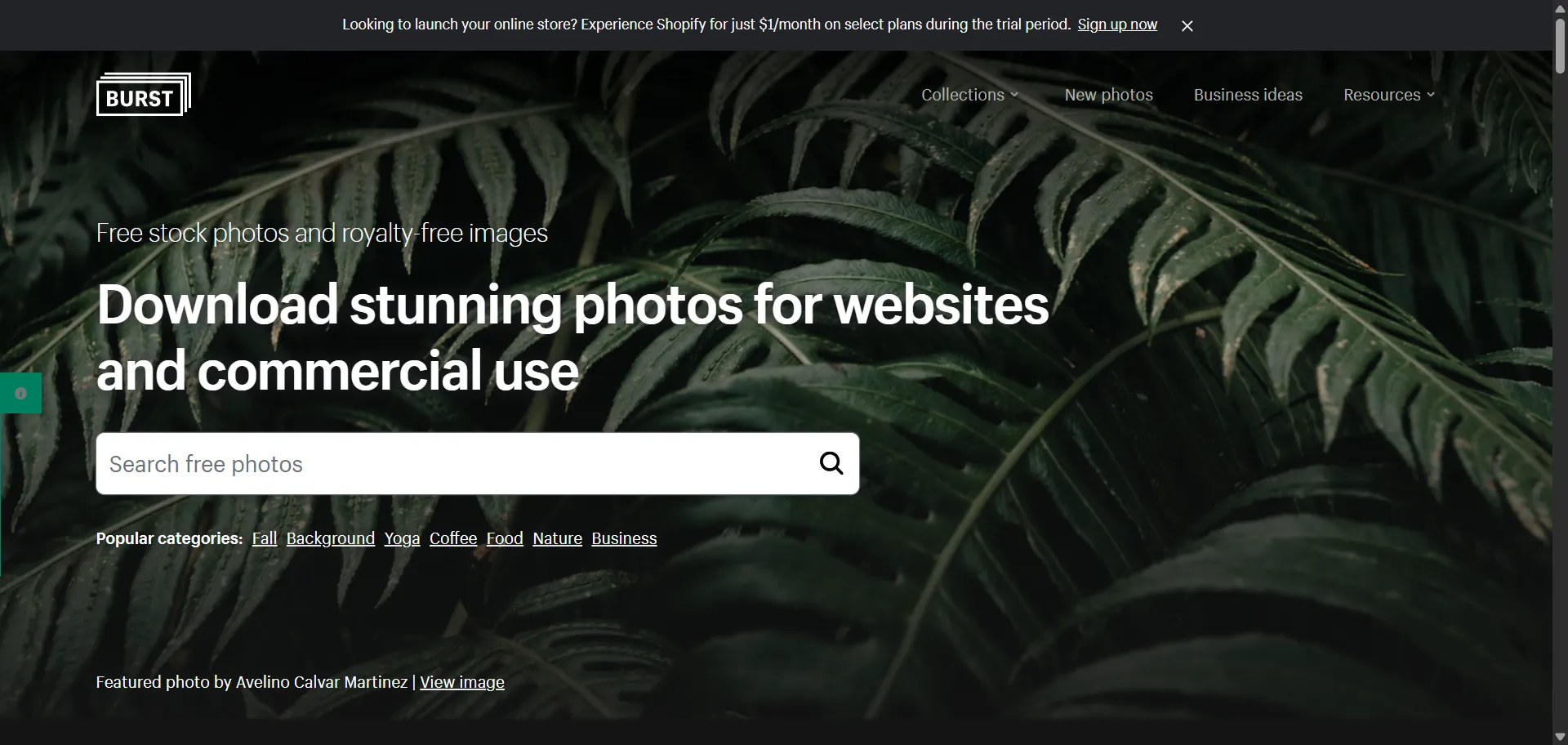 Burst is a free stock photo platform created by Shopify, designed to help entrepreneurs and businesses find high-quality images for their online stores and marketing campaigns. The site features a wide range of categories and themes, making it easy to find the perfect image for any project.