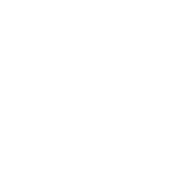 Data Viz Project