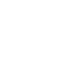 Lingo