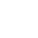 The Brand Identity